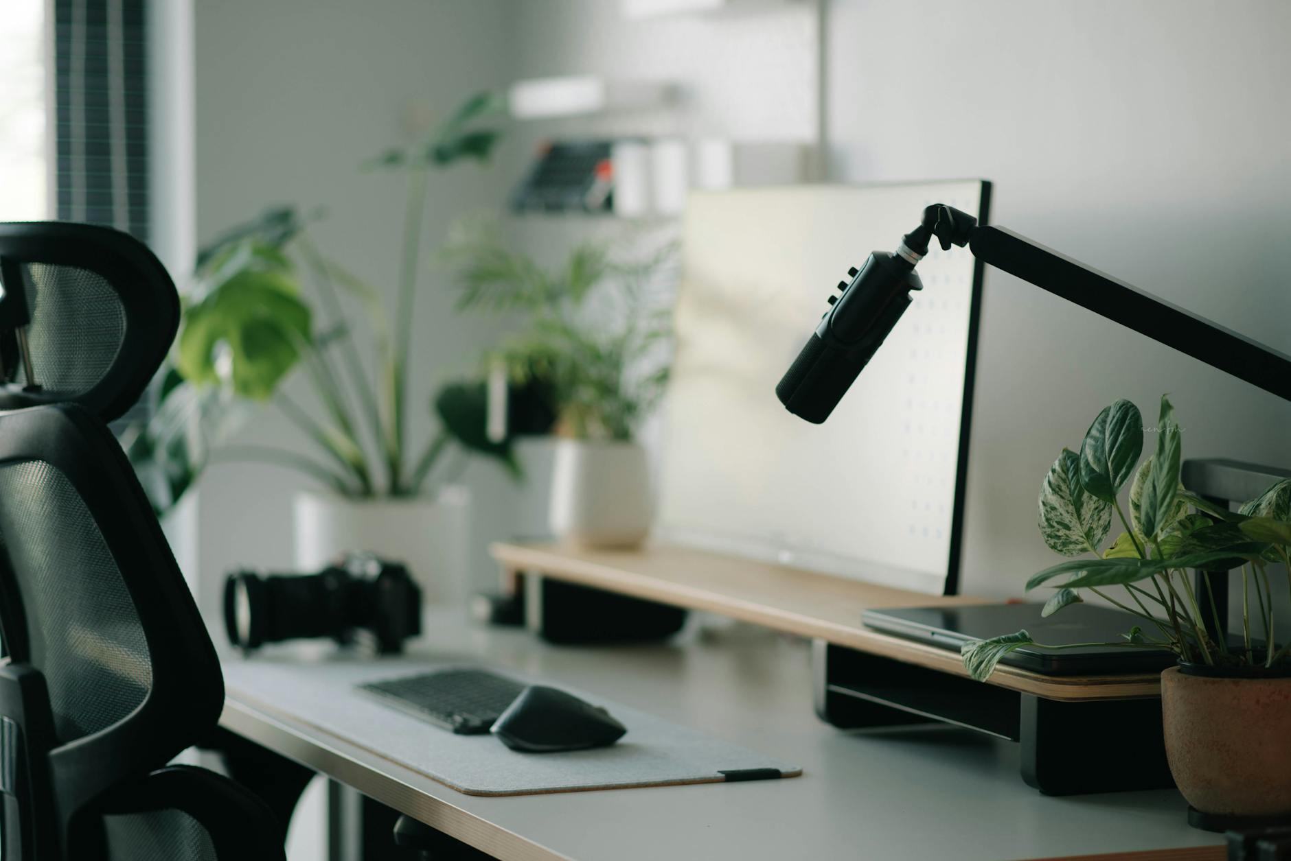 modern home office with desk plants and microphone