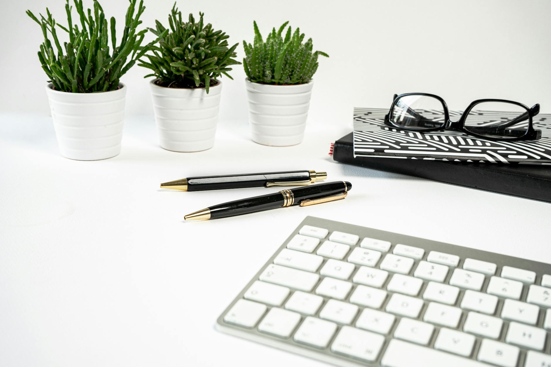 modern workspace with plants and stationery